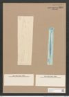 Pleurosigma macrum W.Sm. (de-Toni-Nr.: Genus 13, Species 1090) Zeichnungen Sammlung Grunow Nr. 2119 (NHMW-BOT-W0369152)